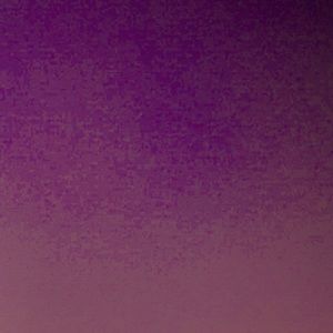 Meet your Posher, Loni